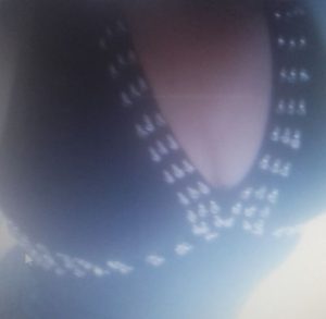 Maitresse Laety dominatrice sévère propose domination virtuelle